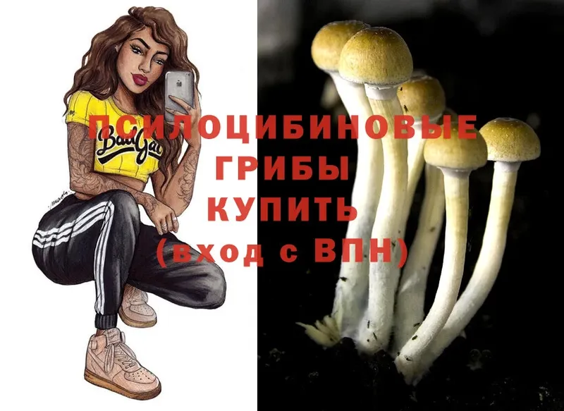 мега ССЫЛКА  Донской  Псилоцибиновые грибы MAGIC MUSHROOMS 